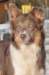 i05honey9monthsold_small.jpg