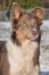 i06honey9monthsold_small.jpg