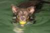j03honey10monthsold_small.jpg