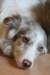 lizz050510_small.jpg