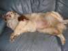 lizz12daysbeforegivingbirth2_small.jpg