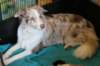 lizz2years4monthsold_small.jpg