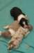 lizzpups3daysold3_small.jpg