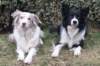 lizzsambuca270110_small.jpg