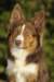 ilovedizzy10monthsold_small.jpg