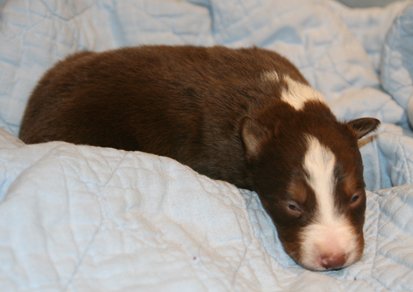 ilovedizzy14daysold.jpg