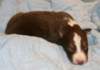ilovedizzy14daysold_small.jpg