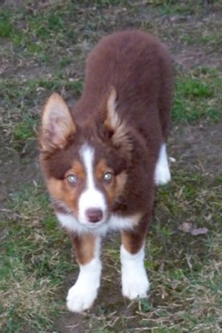 ilovedizzy14weeksold.jpg