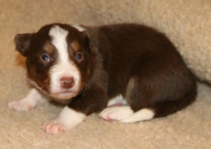 ilovedizzy19daysold7.jpg