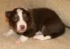 ilovedizzy19daysold7_small.jpg