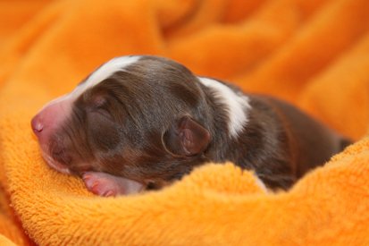 ilovedizzy1daysold.jpg