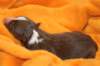 ilovedizzy1daysold5_small.jpg