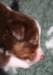ilovedizzy28daysold_small.jpg