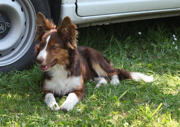ilovedizzy6monthsold.jpg