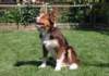ilovedizzy6monthsold5_small.jpg