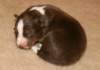 ilovedizzy9daysold_small.jpg