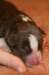 ilovedizzyondayofbirth4_small.jpg