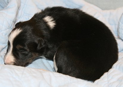 iloveeva14daysold.jpg