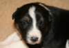 iloveeva19daysold_small.jpg