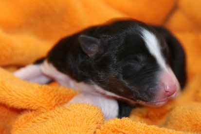 iloveeva1dayold.jpg