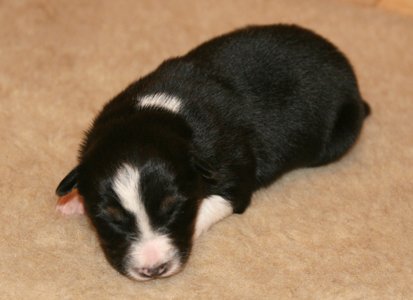 iloveeva9daysold2.jpg