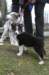 ilovejazz10weeksilikesky3monthsold_small.jpg