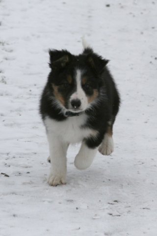 ilovejazz2monthsold.jpg