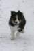 ilovejazz2monthsold_small.jpg
