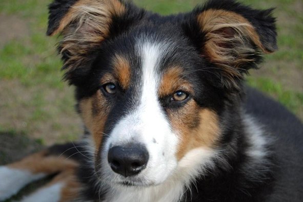 ilovejazz4monthsold.jpg