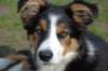 ilovejazz4monthsold_small.jpg