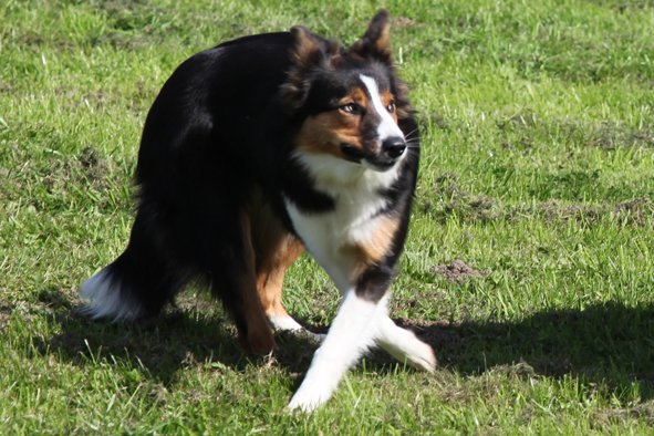 jazz85monthsold3.jpg