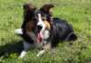jazz85monthsold4_small.jpg