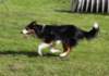 jazz85monthsold6_small.jpg