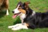 jazz85monthsold_small.jpg