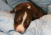 ilovelola14daysold2_small.jpg
