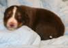 ilovelola14daysold5_small.jpg