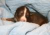 ilovelola14daysold_small.jpg