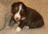 ilovelola19daysold2_small.jpg