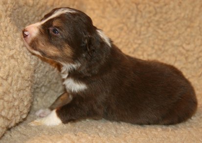 ilovelola19daysold3.jpg