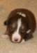ilovelola19daysold_small.jpg