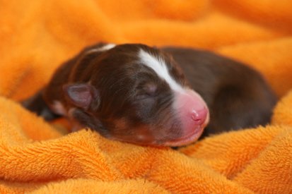 ilovelola1dayold.jpg