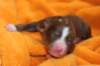 ilovelola1dayold3_small.jpg