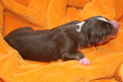 ilovelola1dayold4.jpg