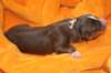 ilovelola1dayold4_small.jpg