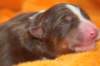 ilovelola1dayold5_small.jpg