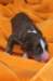 ilovelola1dayold6_small.jpg