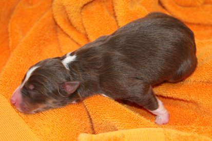ilovelola1dayold7.jpg