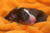 ilovelola1dayold_small.jpg