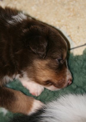 ilovelola28daysold.jpg