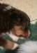 ilovelola28daysold_small.jpg